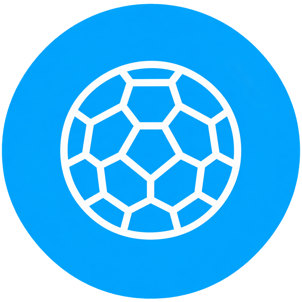icon13